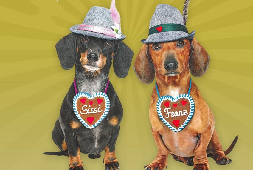 Plakát Veřejná německá konverzace