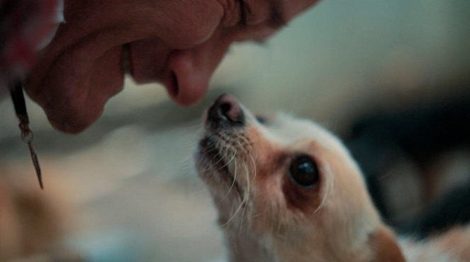 Plakát Vše si zaslouží žít