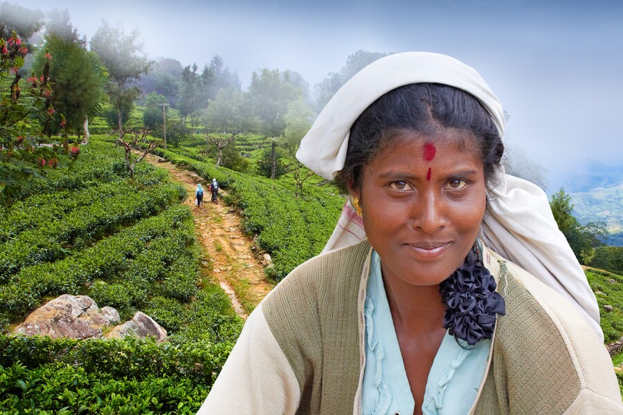 Plakát Martin Loew - Srí Lanka