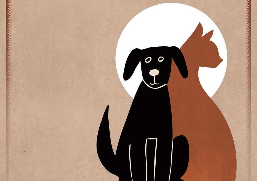 Plakát Divadlo Kordula: Kdo udělal mňau?