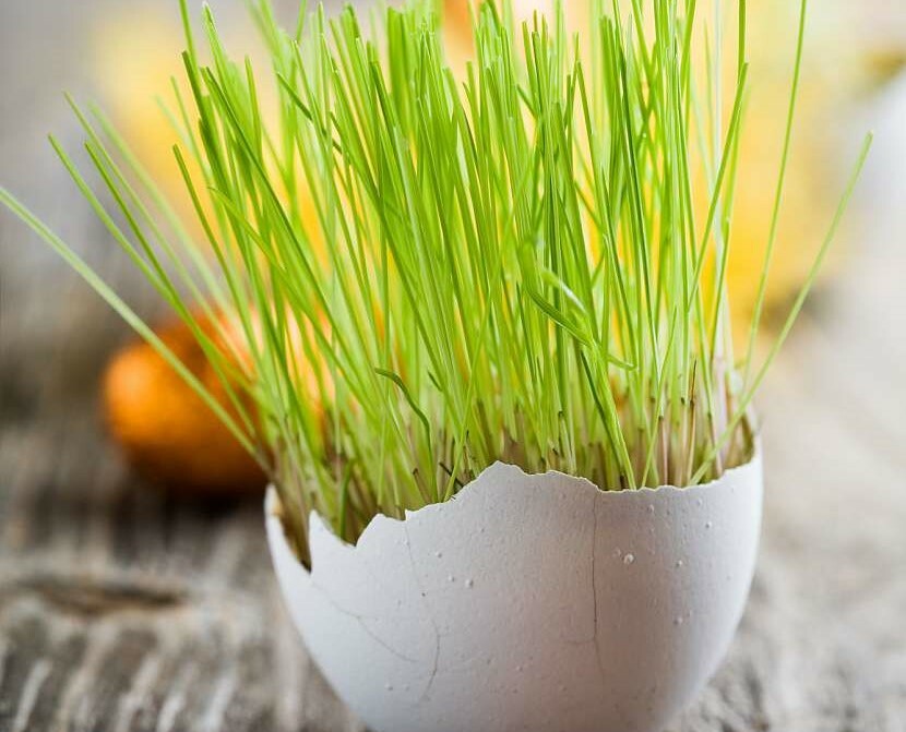 Plakát Velikonoce na pobočce Machnín