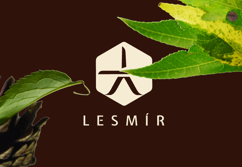 Plakát Lesní školka Lesmír