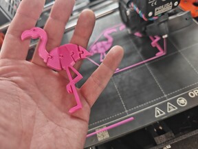 flamingo