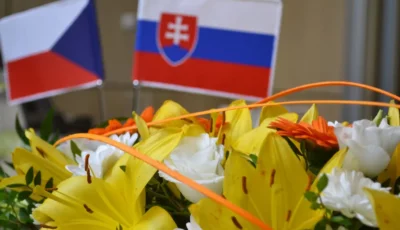 Plakát Environmentální dějiny v česko-slovenském kontextu