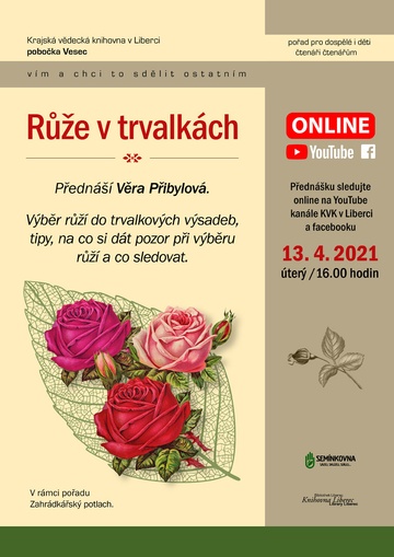 Plakát Růže v trvalkách