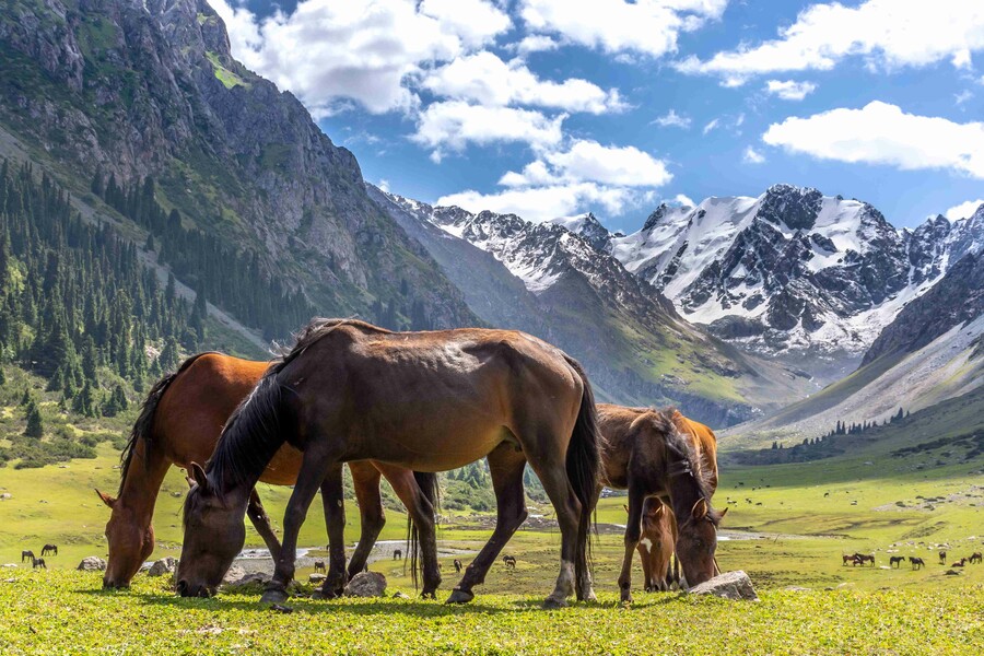 Plakát Kyrgyzstán – země vysokých hor a šťastných lidí