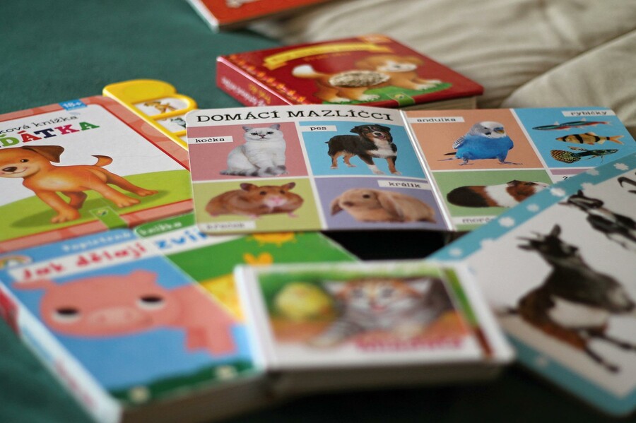 Plakát Inspiruj se – seminář pro knihovníky v rámci projektu Bookstart: S knížkou do života