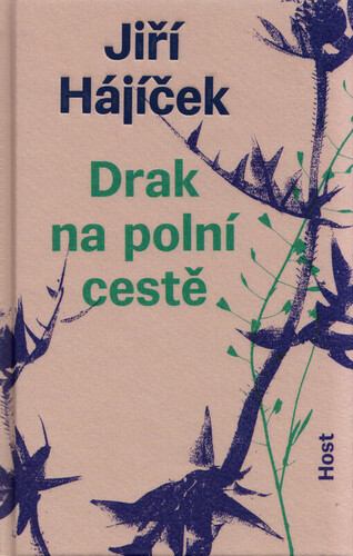 Drak na polní cestě