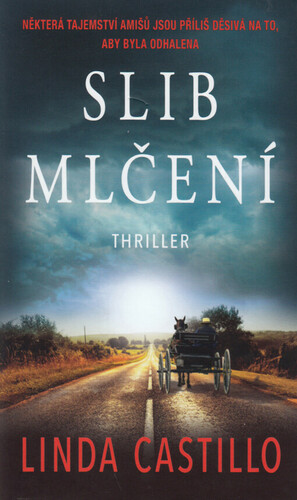 Slib mlčení