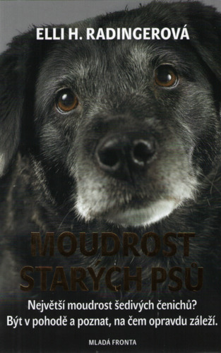 Moudrost starých psů