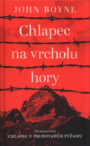 Chlapec na vrcholu hory