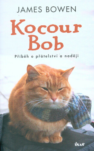 Kocour Bob