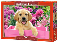 Castorland puzzle