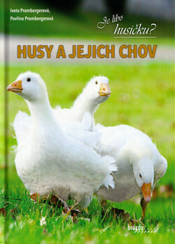 Husy a jejich chov