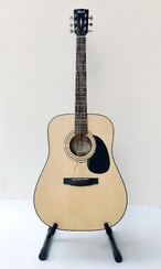 Cort guitars