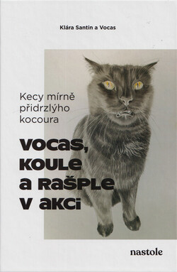 Kecy mírně přidrzlýho kocoura