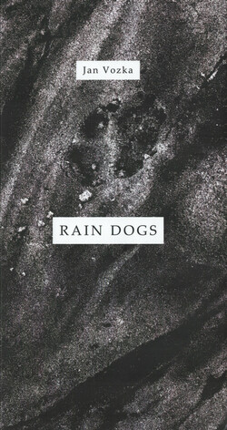 Rain dogs