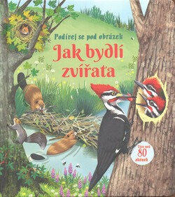 Jak bydlí zvířata