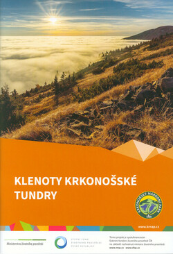 Klenoty krkonošské tundry
