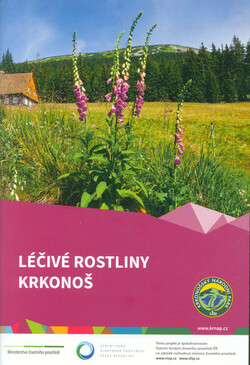 Léčivé rostliny Krkonoš