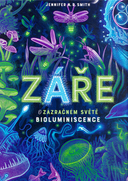 Záře