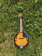 [Akustická mandolína]