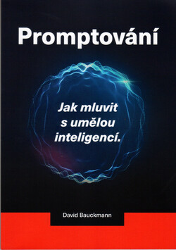 Promptování