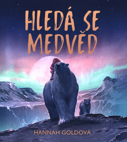 Hledá se medvěd