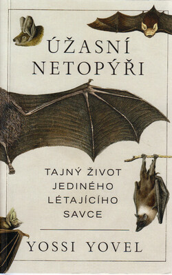 Úžasní netopýři