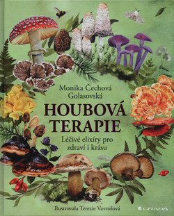 Houbová terapie