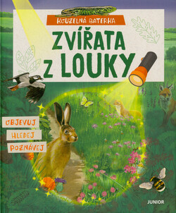 Kouzelná baterka