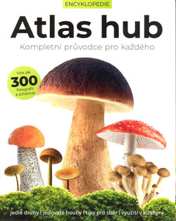 Atlas hub