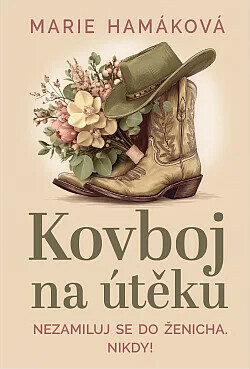 Kovboj na útěku