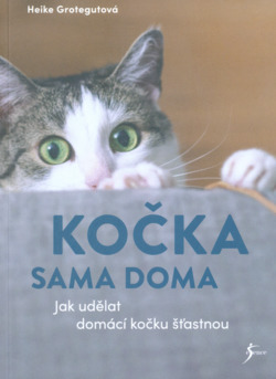 Kočka sama doma