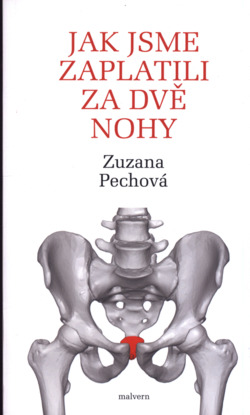 Jak jsme zaplatili za dvě nohy