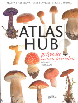 Atlas hub