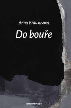 Do bouře