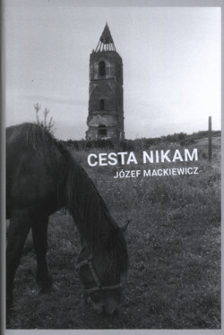 Cesta nikam