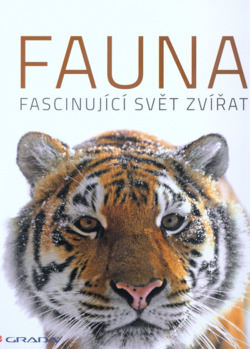 Fauna