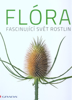 Flóra