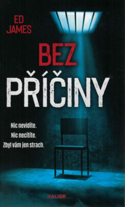 Bez příčiny