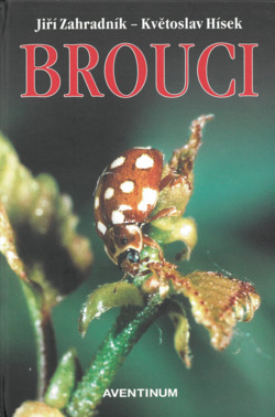 Brouci