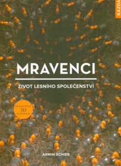 Mravenci