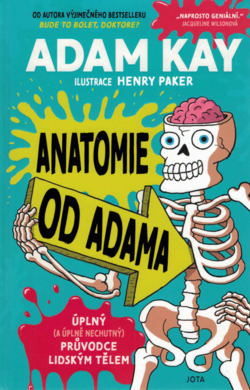 Anatomie od Adama