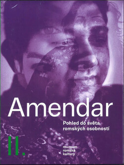 Amendar II