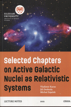 Selected chapters on active galactic nuclei as relativistic systems
