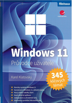 Windows 11