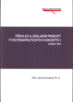 Přehled a základní principy fyzioterapeutických konceptů I