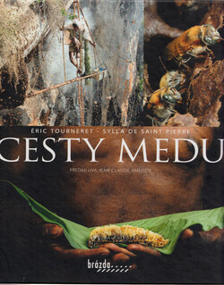 Cesty medu