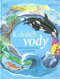 Koloběh vody